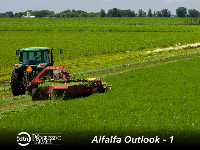 A few more acres of alfalfa may be grown this year. (Photo courtesy of David L. Hansen)